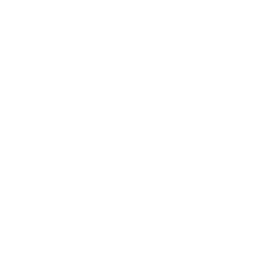 Shopify Plus Agency